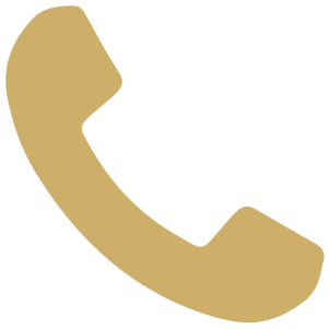 Phone-ICON